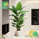 人工観葉植物 210cm フェイクグリーン 大型 大きい 事務所 インテリア 部屋 空間 花バスケット付き お手入れ不要 自宅 室内用 ギフト 贈り物 モダン ...