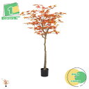 人工紅葉 もみじ フェイクグリーン 人工観葉植物 フェイク観葉植物 ミニ 室内用 シンプル 本棚 玄関 オフィス 室内 インテリア 自宅 オフィス 隅 リアル ...