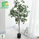 観葉植物 フェイク 180cm ユーカリ フェイクグリーン 大型 人工観葉植物 造花 インテリア 室内 屋外 フェイク植物 人工 観葉植物 水やり不要 枯れない...