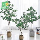 観葉植物 フェイク 180cm ユーカリ フェイクグリーン 大型 人工観葉植物 造花 インテリア 室内 屋外 フェイク植物 人工 観葉植物 水やり不要 枯れない...