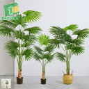観葉植物 フェイク 160cm フェイクグリーン 人工観葉植物 造花 インテリア 室内 屋外 フェイク植物 人工 観葉植物 水やり不要 枯れない 盆栽植物 熱帯...
