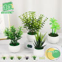 フェイクグリーン 人工観葉植物 5点セット 観葉植物フェイク 鉢植え ふぇいくぐりーん 造花 観葉植物 セットフェイクグリーン ミニ 観葉植物 フェイク セット...