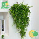 フェイクグリーン アイビー 造花グリーン 5本 人工観葉植物 78CM 観葉植物 壁掛け インテリア お世話不要 プレゼント アイビー 藤 緑 インテリア ホー...