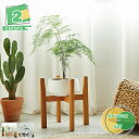 800円OFFクーポン プランター フラワースタンド 木製 花 植木鉢台 花瓶台 インテリア スタンド フラワーポット プランタースタンド 鉢台 花台 屋外 シ...
