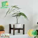 プランター フラワースタンド 木製 花 植木鉢台 花瓶台 インテリア スタンド フラワーポット プランタースタンド 鉢台 花台 屋外 シンプル ナチュラル 鉢ス...