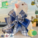 ビッグリボン チェック ハーネス リード セット 犬服 小型犬 猫服 蝶結び ワンピース ドッグウェア メッシュ 通気性 スカート かわいい おしゃれ 散歩 おでかけ ワンちゃん ペット用品 小型犬 子犬 小犬 中型犬 首輪 Yj6x(4)