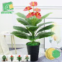 フェイク植物 フェイク植物 トピアリー フェイク植物の装飾 鉢付き インテリア 植物 開店祝い 引越祝い ギフト 母の日 父の日 敬老の日 プレゼント 贈り物 ...