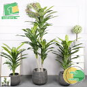 人工観葉植物 人工観葉樹 光触媒 フェイクグリーン 人工 観葉植物 観葉樹 フェイク 造花 室内 大型 簡単保 水やり不要 害虫駆除不要 室内 家庭 日よけバル...