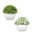 人工観葉植物 本物そっくり フェイクグリーン 造花 観葉植物 フェイクグリーン ガラス鉢 常緑樹 フェイクグリーン 人工観葉植物 人工多肉植物 造花 インテリア...