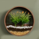 人工観葉植物 壁掛け 枯れない花 ロマンチック 吊り下げ 玄関 リビングルーム 店舗 室内装飾 ホーム装飾 インテリア装飾 置物 写真撮影 お祝い 母の日 ギフ...