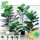 ■お買い得特価■人工観葉植物 大型 軽量 おしゃれ 人工観葉植物 フェイク 造花 インテリア 洋室 室内 屋外 水やり不要 枯れない 盆栽植物 フェイク植物 フ...