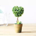 観葉植物 かわいい 人工観葉植物 室内 おしゃれ フェイクプラント シミュレーション植物 オフィス デスク リビング ルーム オフィス 本棚 デスク ホーム イ...