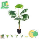 フェイクグリーン 大型 葉 葉っぱ 室内用 インテリア 小さい おしゃれ グリーン 観葉樹 植木鉢 かわいい お洒落 寝室 室内 室外用 オフィス ギフト プレ...