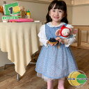 1000円OFFクーポン ガールズ服 長袖 ワンピース 女の子 春秋 2点セット 洋服 フォーマル 子供ドレス 赤ちゃん ベビー セレモニー 花柄 コットン 柔...