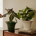 300円OFFクーポン 植木鉢 おしゃれ インテリア鉢 陶器 モダン プランター 多肉植物ポット ベランダ 花壇 園芸鉢 ベーシック ガーデニング 室内屋外用 ...