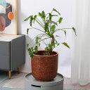 庭木鉢 軽い鉢 植木ポット お洒落な植木鉢 大型植木鉢 大型プランター アンティーク 穴あり 観葉植物 花栽培 ポトス バラ パキラ 蘭 紫陽花 適用 屋内植木...