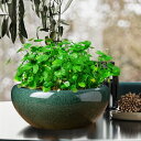 500円OFFクーポン 植木鉢 モダン風 おしゃれ 観葉植物植木鉢 金魚鉢 陶器植木鉢 シンプル プランター鉢 北欧風 多肉植物用植木鉢 多肉容器 プランター ...