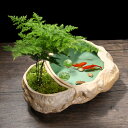 装飾プランター 底穴無し 陶磁器 アンティーク 面白い 植木鉢 和風 室内用プランター スタイリッシュ レトロ 背が高い 陶器プランター 多肉植物ポット 鉢植え...