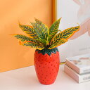 500円OFFクーポン 陶器 鉢 プランター 円筒形 多肉植物容器 多肉植物ポット 花瓶 いちご型の植木鉢 癒し かわいいプレゼント 穴無し 庭木鉢 おしゃれな...