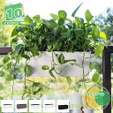 植木鉢 プランター 大型 木製 植木鉢 大型 鉢カバー コンクリート調 グレー キューブ 底穴あり 観葉植物 ガーデニング 園芸 家庭菜園 リビング 玄関 バル...