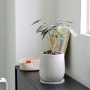 プランター大型 植木鉢 セメント製 レトロ 屋内外利用可 鉢の底に排水穴付き ホーム リビング 鉢植え プランター 庭木鉢 アンティーク セメント植木鉢 庭園の...