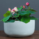 室内用プランター 穴なし サボテン鉢 観葉植物鉢 陶器プランター 室内用植木鉢 陶器植木鉢 アンティーク 底穴なし 水耕栽培鉢 雰囲気アップ 多肉植物用植木鉢 ...