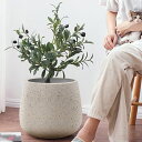 2000円OFFクーポン プランターポット 植木鉢 お洒落な植木鉢 深鉢 セメント 穴あり 水切れ良い 植物用プラントポット プランター大型 観葉植物の鉢 屋内...