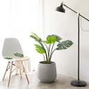 背の高い植木鉢 排水できる 深鉢 植物用プラントポット 観葉植物鉢 ガーデンポット 園芸用品 庭木鉢 プランターカバー 鉢植えカバー 観葉植物の鉢 セメントプラ...