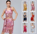 光沢有り ラテンドレス キラキラ ラテン ダンス衣装 演出服 フリンジ付き 上下セット フリンジスカート ゴーゴーダンス DS 女性 大人 ダンス衣装 伸縮性あり フリー