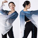 ダンス衣装 ブラウス 女性 大人ダンス衣装 モダンダンス トップス グラデーション 羽織 ゆったりシャツ 背中スリット入り 古典ダンス ジャズダンス シャツ ヒップホップ 個性 おしゃれ 舞台演出服 ステージ衣装