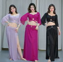 大人 ベリー ダンス衣装 ラメ入り ベリーダンス 演出服 スカートセット スリット入り ロングスカート 見せパン付き へそ出し フレア袖トップス レッスン着 練...