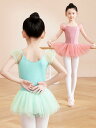 バレエ ワンピース 子供 バレエダンス衣装 半袖レオタード チュチュ付き チュールスカート付き 子供 バレエ 新体操 演出服 子供 バレエドレス バレエ 演出服 レッスン着 練功服 ピンク グリーン
