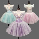 バレエ ワンピース 女の子 バレエダンス 演出服 星月柄 チュールワンピース バレエ衣装 立体な花柄 バレエ プリンセス風 バレエ 新体操 演出服 練習着 子供バレエダンス演出服 4色