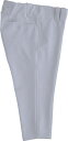 SALE ZETT(ゼット) BU802CP 1300 シルバー 野球 ネオステイタス ユニフォーム ショートフィットパンツ 19SS