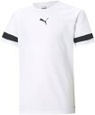 PUMA(プーマ) 705140 04 サッカー ジュニア TEAMRISE ゲームシャツ JR 20Q1(4)
