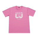SALE ワールドペガサス(WORLD PEGASUS) WAPTS91 19W 野球 半袖Tシャツ 20SS