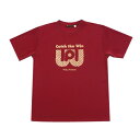 ワールドペガサス(WORLD PEGASUS) WAPTS91 26W 野球 胸プリント 半袖Tシャツ 22SS