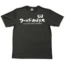 <限定クーポン発行中 5/16 01:59まで お買い物マラソン> ワールドペガサス(WORLD PEGASUS) WAPTS102 90 野球 S/S カタカ...