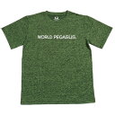 ワールドペガサス(WORLD PEGASUS) WAPTS102H 82C 野球 ひらがな 半袖 S/S Tシャツ 22SS
