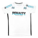 PENALTY（ペナルティ）　PUS3106　10　サッカー　フットサル　ハイス プラシャツ　プラクティスシャツ 23SS