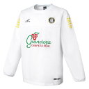 <限定クーポン発行中 12/4 20時〜 楽天スーパーセール> <ネコポス発送 送料無料> フィンタ(FINTA) FT4513 0100 サッカー フットサル...