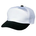 エスエスケイ(SSK) BC067 1090 野球 キャップ チームキャップ 18SS
