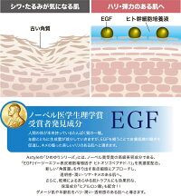 【ポイント5倍】ヒト幹細胞培養液高濃度ひめゆりSCナイトケアパック【生ヒト幹細胞パック保湿パック美容パックシワたるみハリ顔しわほうれい線ツヤ高濃度EGFエイジングケアフラーレンビタミンC誘導体】
