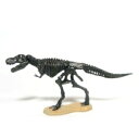 【中古】チョコラザウルス 恐竜・古代生物フィギュアコレクション 第1シリーズ バージョン2 002b ティラノサウルス(骨格)
