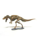 【中古】チョコラザウルス 恐竜 古代生物フィギュアコレクション 第3シリーズ 058 アクロカントサウルス（骨格）