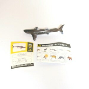 【中古】チョコラザウルス 恐竜・古代生物フィギ...の紹介画像2