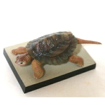 Other - 【中古】SF MOVIE SELECTION （SF ムービー セレクション） ガメラ 小さき勇者たち トト（ガメラ幼体）