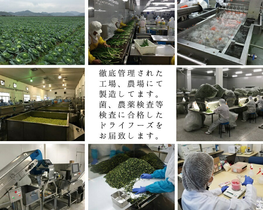 乾燥白ねぎ15mm輪切り30g契約栽培フリーズドライ製法乾燥野菜送料無料仕送り一人暮らし常備菜時短お手軽非常食即席みそ汁カット済み