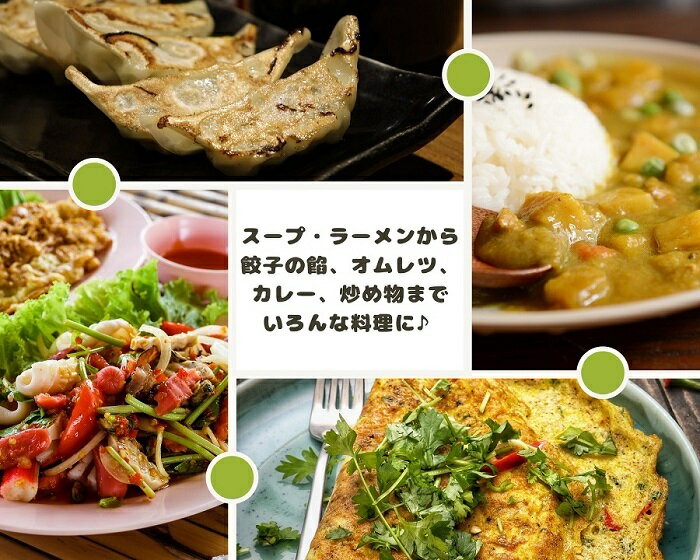 乾燥白ねぎ15mm輪切り30g契約栽培フリーズドライ製法乾燥野菜送料無料仕送り一人暮らし常備菜時短お手軽非常食即席みそ汁カット済み