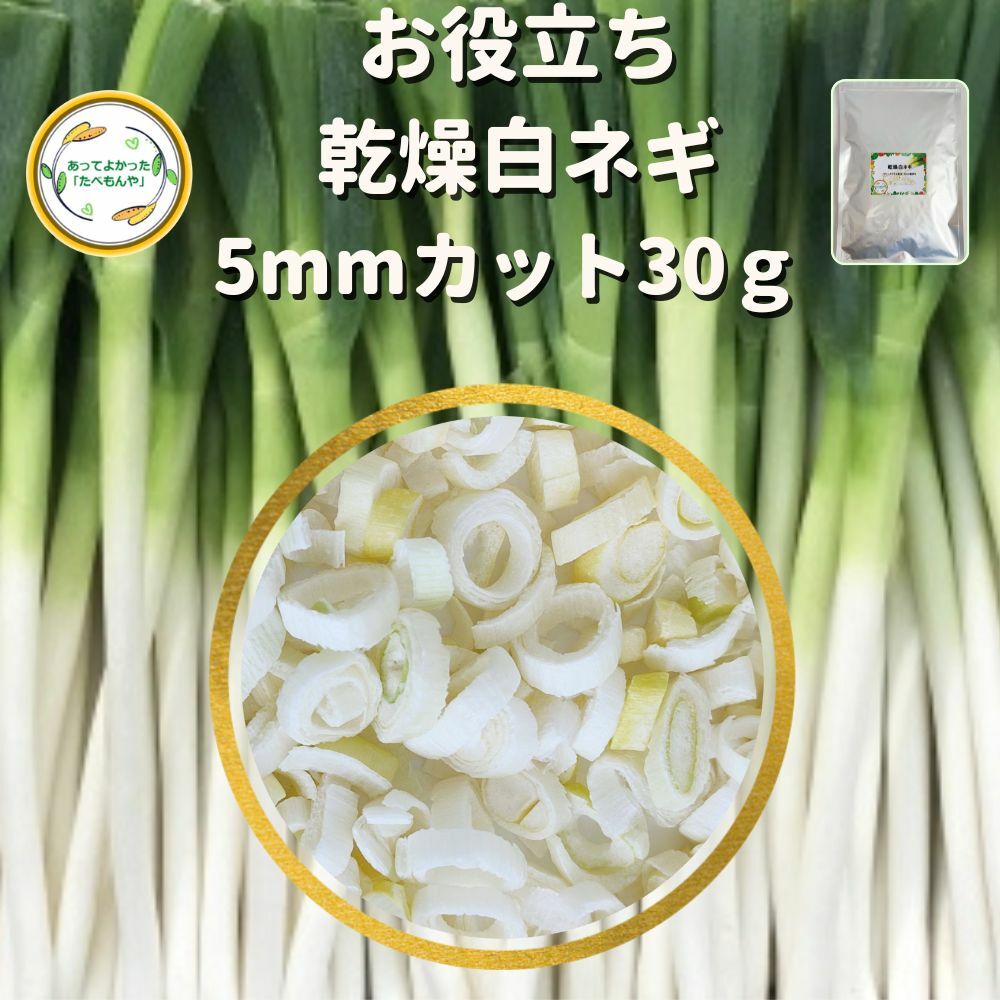 ＼先着限定クーポン配布！／ 乾燥野菜 乾燥白ねぎ 5mm輪切り 30g 契約栽培 フリーズドライ製法 送料無..